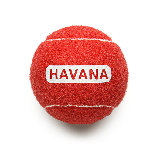 Hotel Havana Dog Ball