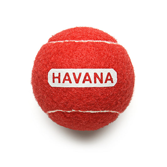 Hotel Havana Dog Ball